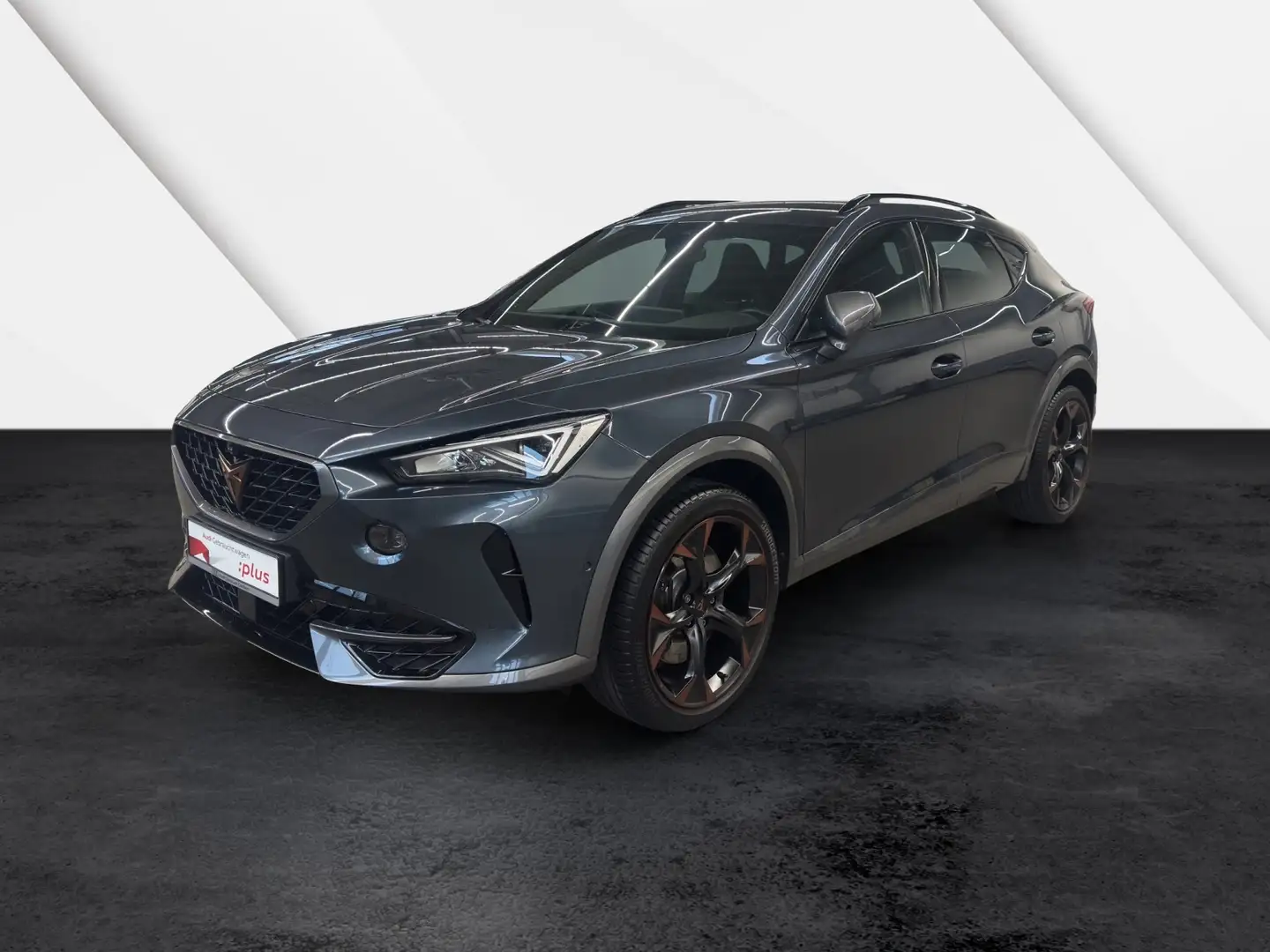 CUPRA Formentor 2.0 TSI 4Drive DSG VZ 360°Kamera Beats ACC DCC ... Grau - 2