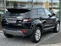Land Rover Range Rover Evoque L538 2.0 TD4 (150PS) SkyView Schwarz - thumbnail 4