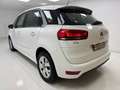 Citroen C4 1.6BlueHDI S&S Feel Edition 120 Blanco - thumbnail 13