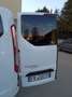 Ford E-Transit con pedana per disabili - thumbnail 5
