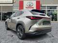 Lexus NX 450h+ Luxury Line HUD*Navi*4xSHZ*Lenkradhz Silber - thumbnail 6