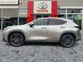 Lexus NX 450h+ Luxury Line HUD*Navi*4xSHZ*Lenkradhz Argento - thumbnail 4