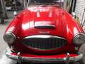 Austin-Healey 100 2 seats Rood - thumbnail 6