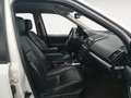 Land Rover Freelander 2.2Td4 HSE CommandShift Blanco - thumbnail 9
