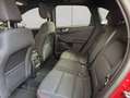 Ford Kuga 1.5 EB ST-LINE, AHK, Shz, Gjr Rouge - thumbnail 18