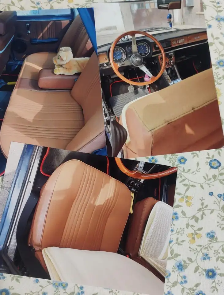 Alfa Romeo Giulia Super RESTAURO TOTALE ASI TARGA ORO, foto 6