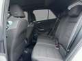 Volkswagen T-Roc 1.5 TSI DSG Sport Pano Navi LED SHZ ACC Weiß - thumbnail 10