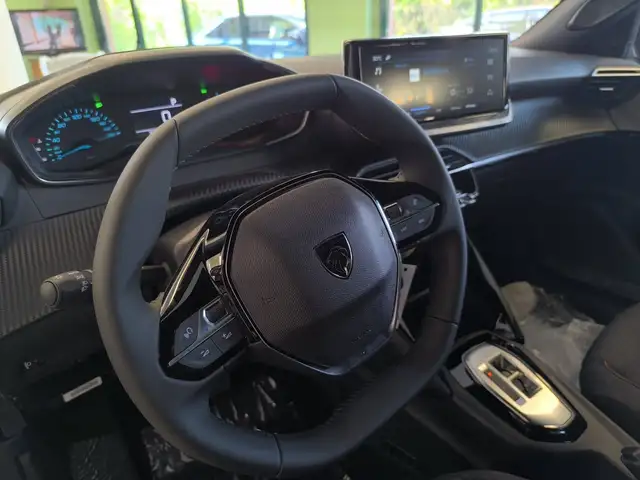 Peugeot 2008 view 10