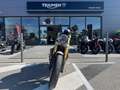 Triumph Speed Twin - thumbnail 3