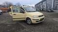 Fiat Panda 1.2 8V Dynamic - thumbnail 4