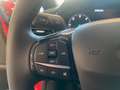 Ford Fiesta Fiesta 5p 1.5 tdci Titanium 85cv Rosso - thumbnail 14