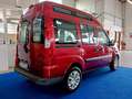Fiat Doblo 1.3 MJT TETTO ALTO PEDANA RAMPA CARROZZINA - thumbnail 7