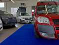 Fiat Doblo 1.3 MJT TETTO ALTO PEDANA RAMPA CARROZZINA - thumbnail 5
