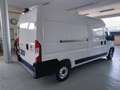 Fiat Ducato 2.3 MJT 140 CV P.LUNGO T.ALTO Wit - thumbnail 6