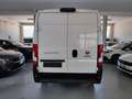 Fiat Ducato 2.3 MJT 140 CV P.LUNGO T.ALTO Wit - thumbnail 5