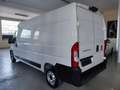 Fiat Ducato 2.3 MJT 140 CV P.LUNGO T.ALTO Wit - thumbnail 4