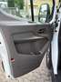 Ford Transit Kasten 350 L3 Trend Weiß - thumbnail 14