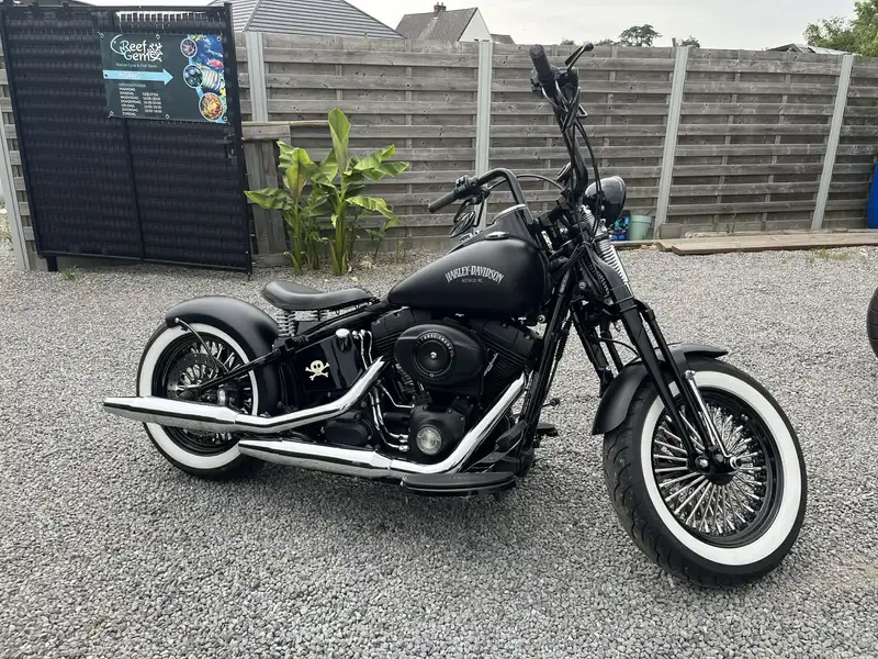 Harley-Davidson Cross bones - foto 2