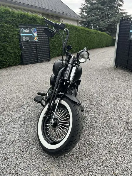 Harley-Davidson Cross bones - foto 3