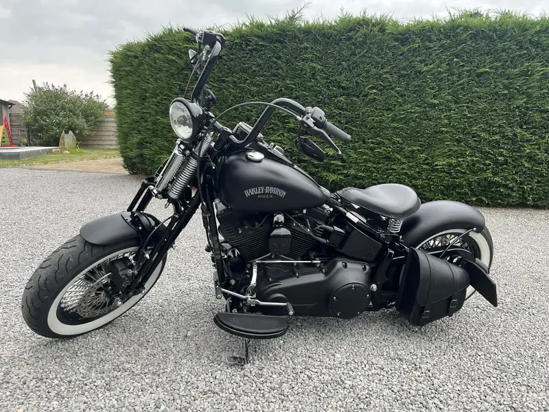 Harley-Davidson Cross bones
