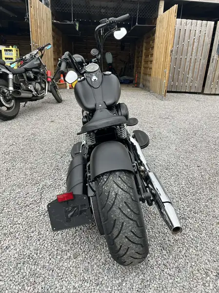 Harley-Davidson Cross bones - foto 4