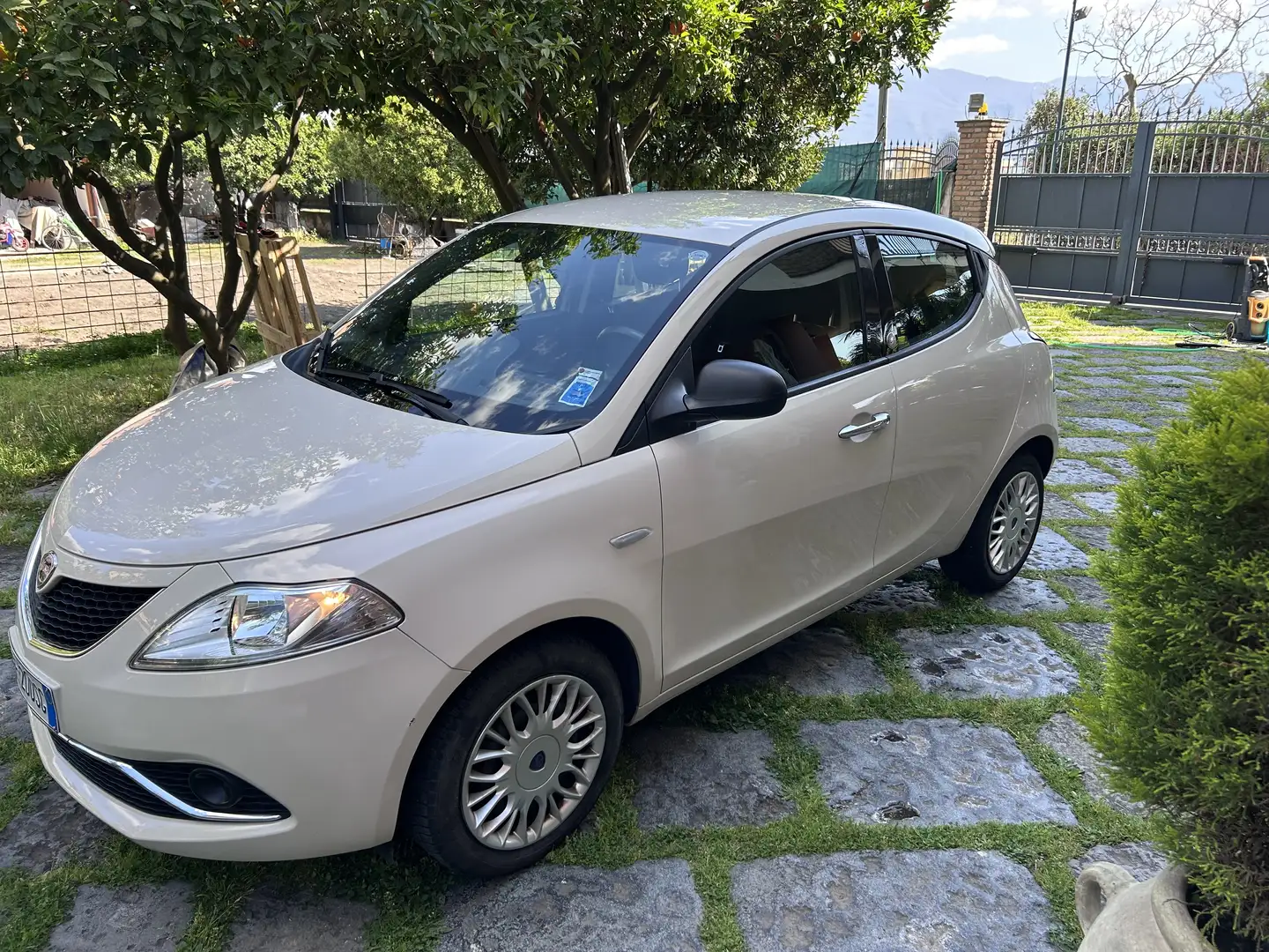 Lancia Ypsilon 1.2 Mya ecochic Gpl 69cv - 2