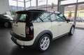 MINI Cooper D Clubman Chili/Pano/PDC/ Wit - thumbnail 5