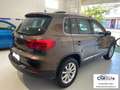 Volkswagen Tiguan Tiguan 1.4 tsi bm Sport Bronzo - thumbnail 5