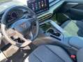 CUPRA Terramar 2.0 TSI DSG 4Drive VZ*AHK*Pano*20 Schwarz - thumbnail 5