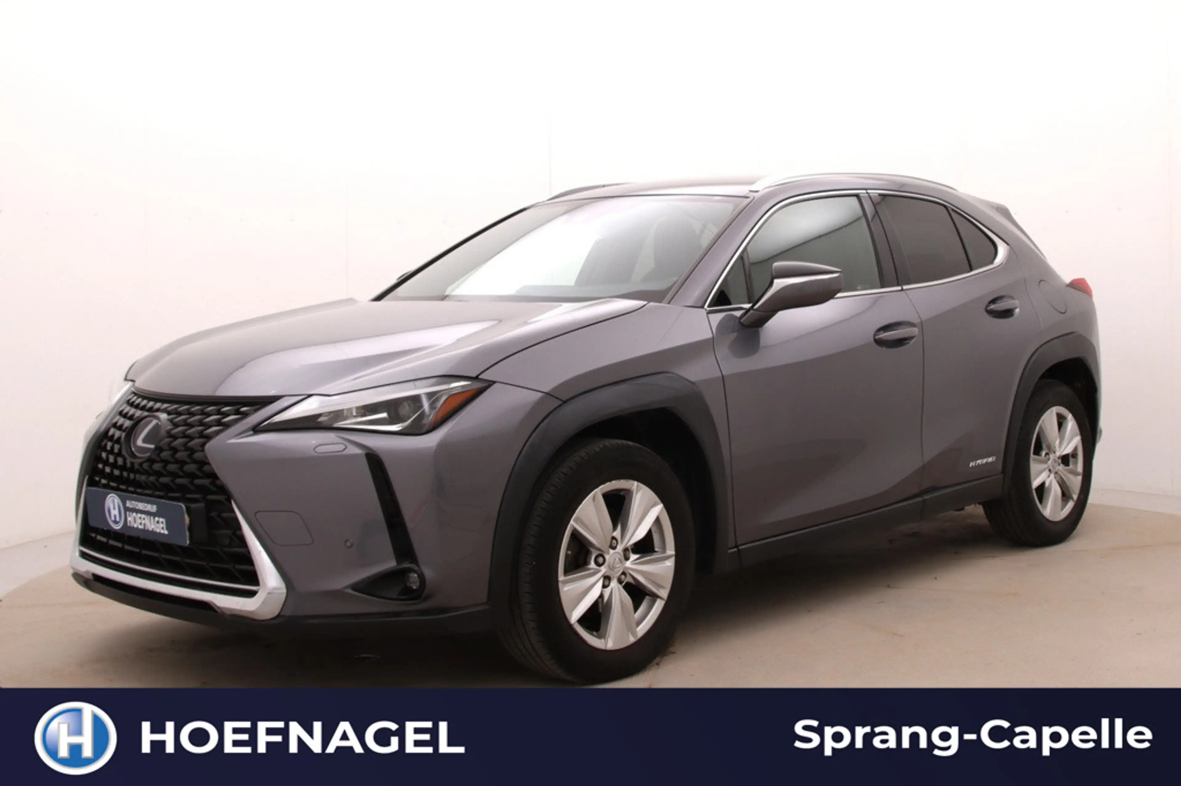Lexus UX 250h Comfort Line | Trekhaak | Camera | Adaptive Cruise