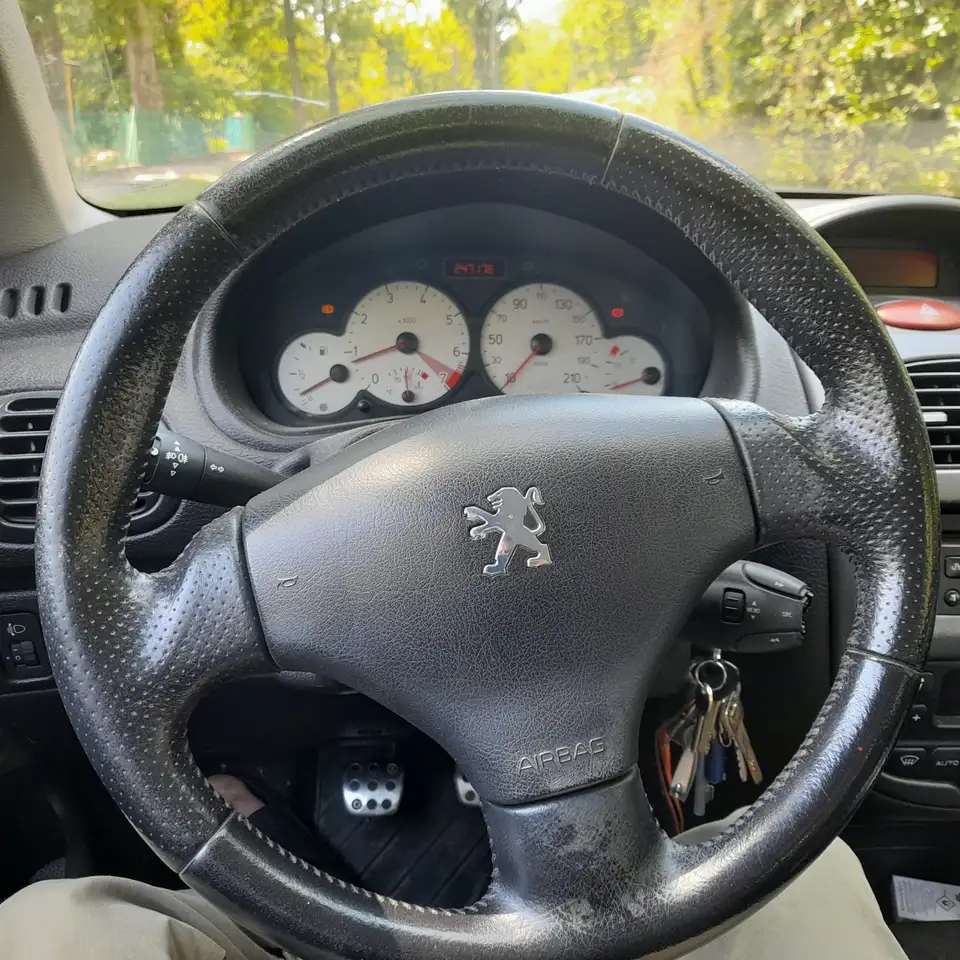 Peugeot 206 Gti, foto 9