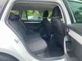 Skoda Octavia Combi 1.6TDI *Klima*DAB*Navi*Tempomat* Blanc - thumbnail 13