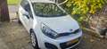 Kia Rio Rio 1.2 CVVT Comfortline Wit - thumbnail 5