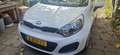 Kia Rio Rio 1.2 CVVT Comfortline Wit - thumbnail 7