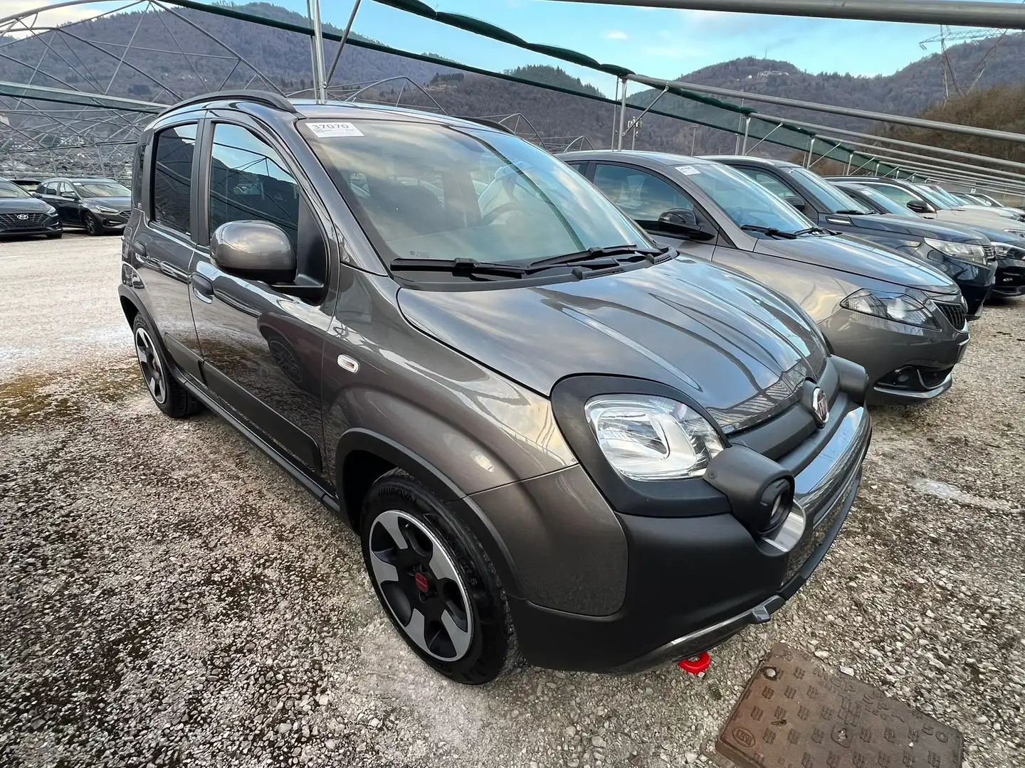 Fiat Panda 1.0 firefly hybrid Cross 70 cv Gris - 2