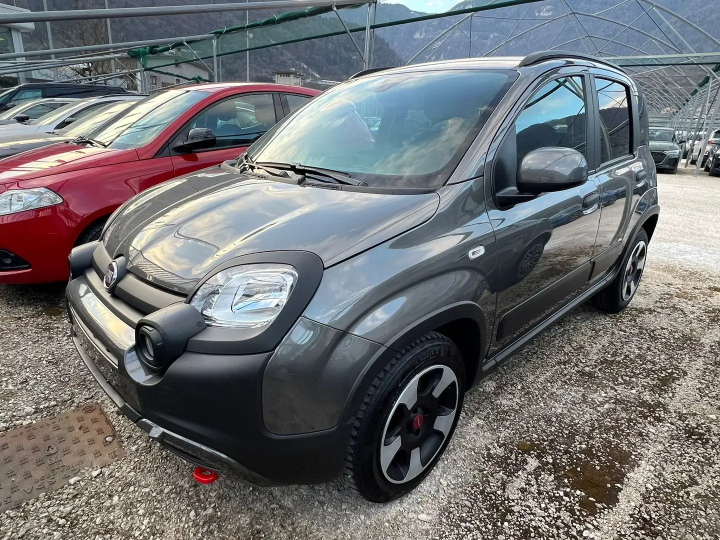 Fiat Panda 1.0 firefly hybrid Cross 70 cv Gris - 1