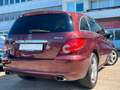 Mercedes-Benz R 350 4-Matic *6SITZ*EXPORT&GEWERBE* Rot - thumbnail 8