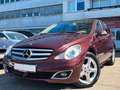 Mercedes-Benz R 350 4-Matic *6SITZ*EXPORT&GEWERBE* Rot - thumbnail 4