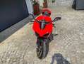 Ducati 1299 Superleggera Panigale Superleggera 1199 Rojo - thumbnail 4