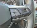 SEAT Arona 1.0 TGI 66KW XPERIENCE Blu/Azzurro - thumbnail 16