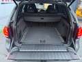 BMW X5 xDrive40d Österreich-Paket Aut. Grau - thumbnail 20
