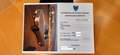 Mercedes-Benz SL 350 ITALIANO DA SEMPRE ***CAMBIO MANUALE*** Beige - thumbnail 2