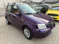 Fiat Panda Panda 1.2 Dynamic Mauve - thumbnail 3