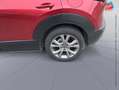 Mazda CX-30 2.0 e-SKYACTIV-G M-Hybrid 122ch Sportline 2021 Rouge - thumbnail 10
