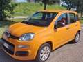 Fiat Panda Panda III 2016 1.2 Pop s Arancione - thumbnail 1