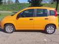Fiat Panda Panda III 2016 1.2 Pop s Arancione - thumbnail 3