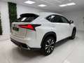Lexus NX 300 300h Premium 2WD Blanco - thumbnail 8
