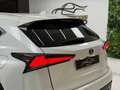 Lexus NX 300 300h Premium 2WD Blanco - thumbnail 15