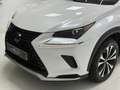Lexus NX 300 300h Premium 2WD Blanco - thumbnail 4