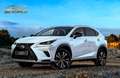 Lexus NX 300 300h Premium 2WD Blanco - thumbnail 1